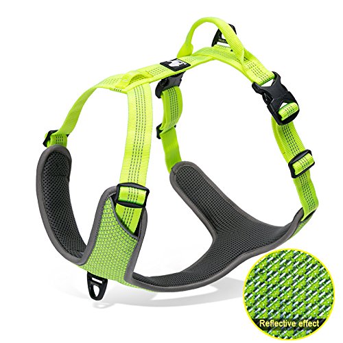 Namsan Hundegeschirr für Hunde mit Hundeleine Komfortabel Einstellbar Hundebrustgurt No Pull Hundegeschirr Set Dog Harness Perfekt für Tägliches Laufen Spazieren Training